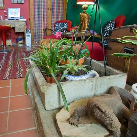 Rural Casa De Campanas Salinas de Pisuerga