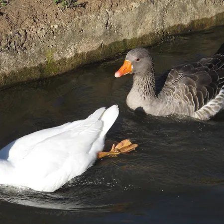 Hétvégi ház Rural Casa De Campanas *