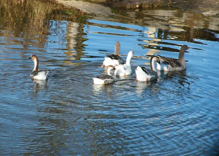 Εξοχικό σπίτι Rural Casa De Campanas Salinas De Pisuerga