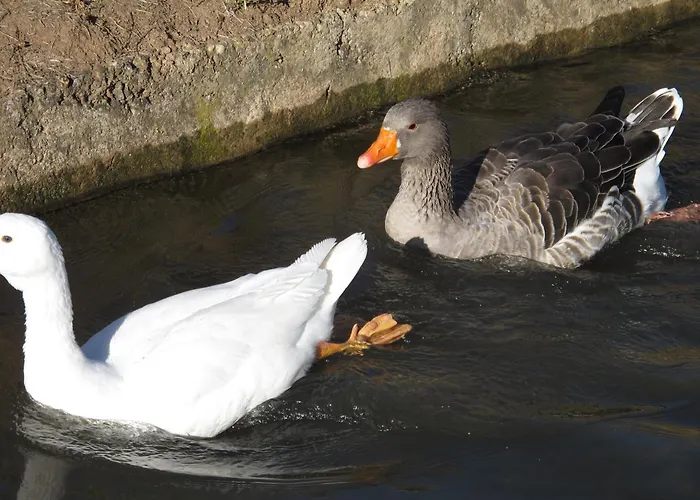 Εξοχικό σπίτι Rural Casa De Campanas *